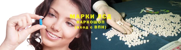 гидра Алексеевка