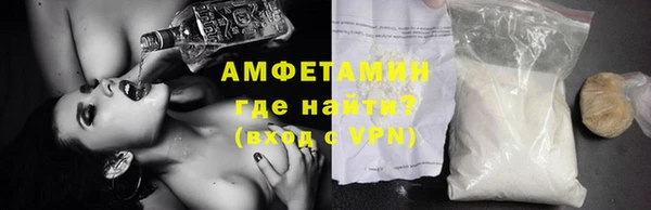 индика Пестово